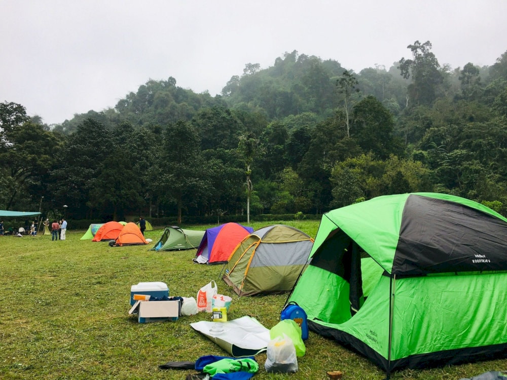 Immerse yourself in the wild nature of Cuc Phuong with the Camping & Wildlife Watching tour
